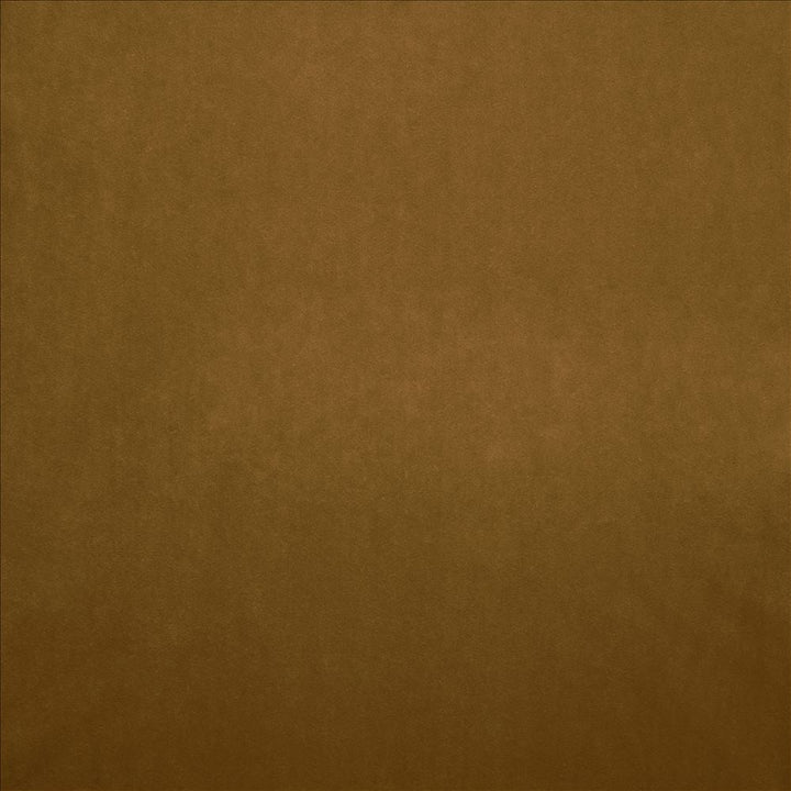Nampara Saddle by Kasmir Designer Fabric 5167 100% Polyester
 CHINA </p><p>Repeat: Horizontal: N/A and Vertical: N/A 58 - Swanky Fabrics -