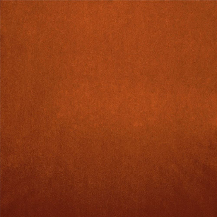 Nampara Terracotta by Kasmir Designer Fabric 5167 100% Polyester
 CHINA 105,000 Wyzenbeek Double Rubs </p><p>Repeat: Horizontal: N/A and Vertical: N/A 58 - Swanky Fabrics -