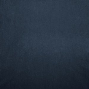 Kasmir Fabric Nampara Wedgewood