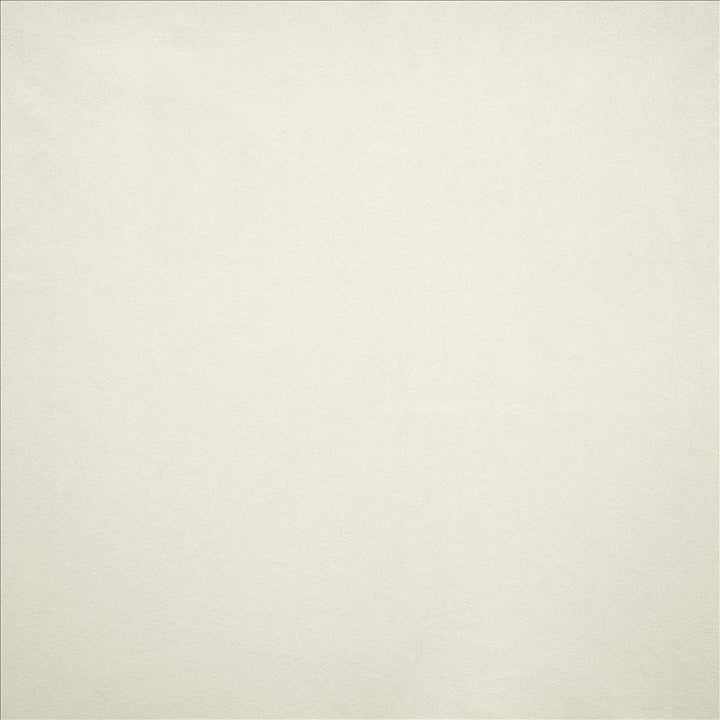 Nampara White by Kasmir Designer Fabric 5167 100% Polyester
 CHINA </p><p>Repeat: Horizontal: N/A and Vertical: N/A 58 - Swanky Fabrics -