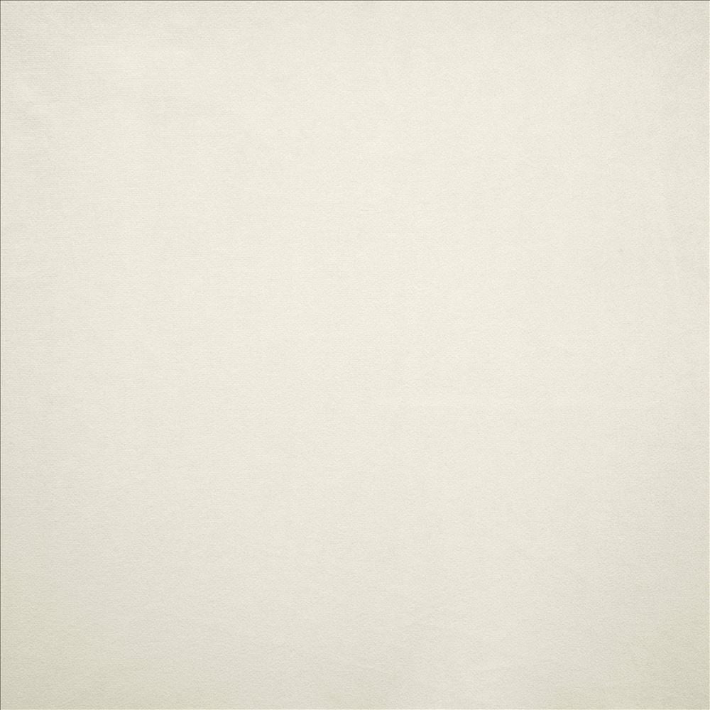 Nampara White by Kasmir Designer Fabric 5167 100% Polyester
 CHINA 105,000 Wyzenbeek Double Rubs </p><p>Repeat: Horizontal: N/A and Vertical: N/A 58 - Swanky Fabrics -