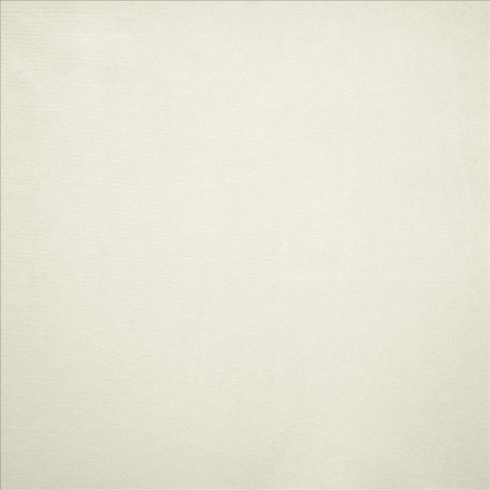 Nampara White by Kasmir Designer Fabric 5167 100% Polyester
 CHINA </p><p>Repeat: Horizontal: N/A and Vertical: N/A 58 - Swanky Fabrics -