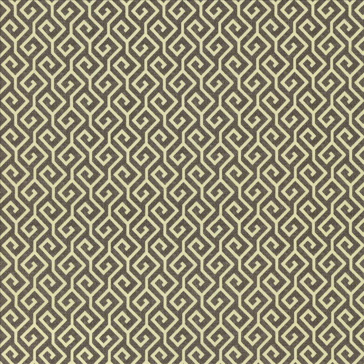 Nanping Gunmetal by Kasmir Designer Fabric 5123 100% Cotton TURKMENISTAN 15,000 Wyzenbeek Double Rubs Horizontal: 1 6/8 inches and Vertical: 1 6/8 inches 54 - Swanky Fabrics -