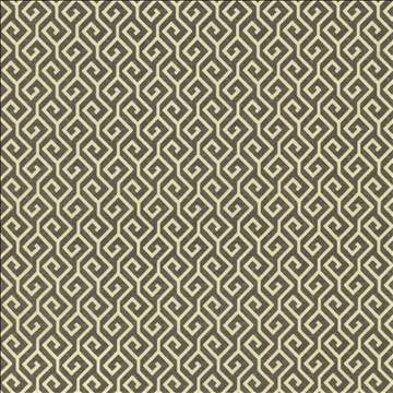 Nanping Gunmetal by Kasmir Designer Fabric 5123 100% Cotton TURKMENISTAN 15,000 Wyzenbeek Double Rubs H: 1 6/8 inches, V: 1 6/8 inches 54 - Swanky Fabrics - Kasmir