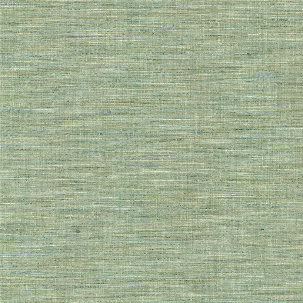 Nikita Aquamarine by Kasmir Designer Fabric 1461 100% Polyester
 INDIA 30,000 Wyzenbeek Double Rubs </p><p>Repeat: Horizontal: N/A and Vertical: N/A 54 - Swanky Fabrics -
