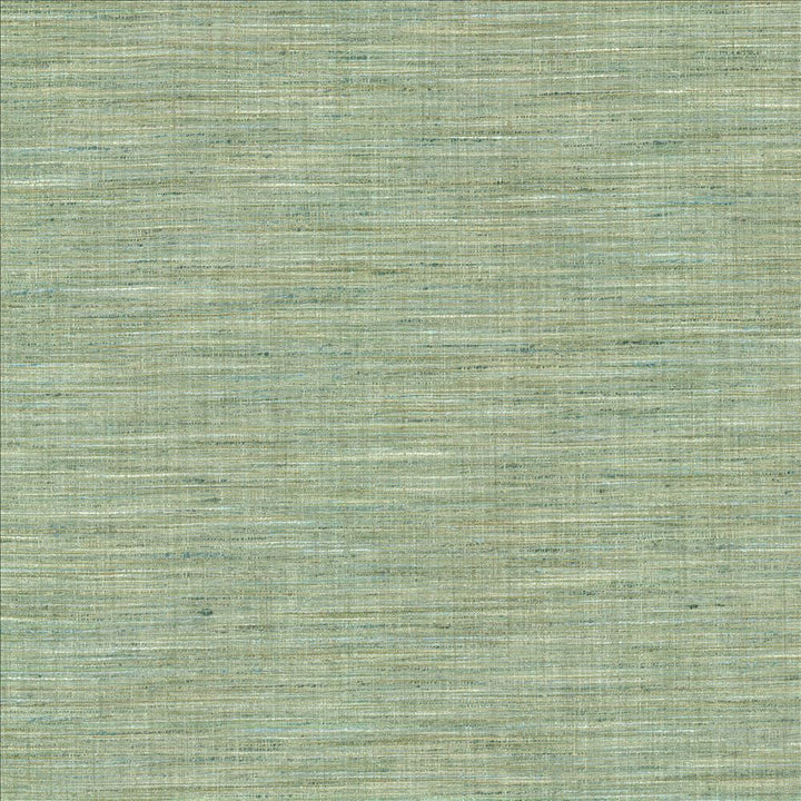 Nikita Aquamarine by Kasmir Designer Fabric 1461 100% Polyester
 INDIA 30,000 Wyzenbeek Double Rubs </p><p>Repeat: Horizontal: N/A and Vertical: N/A 54 - Swanky Fabrics -