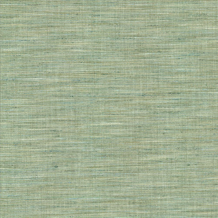 Nikita Aquamarine by Kasmir Designer Fabric 1461 100% Polyester
 INDIA </p><p>Repeat: Horizontal: N/A and Vertical: N/A 54 - Swanky Fabrics -