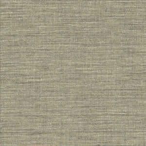 Kasmir Fabric Nikita Cloud
