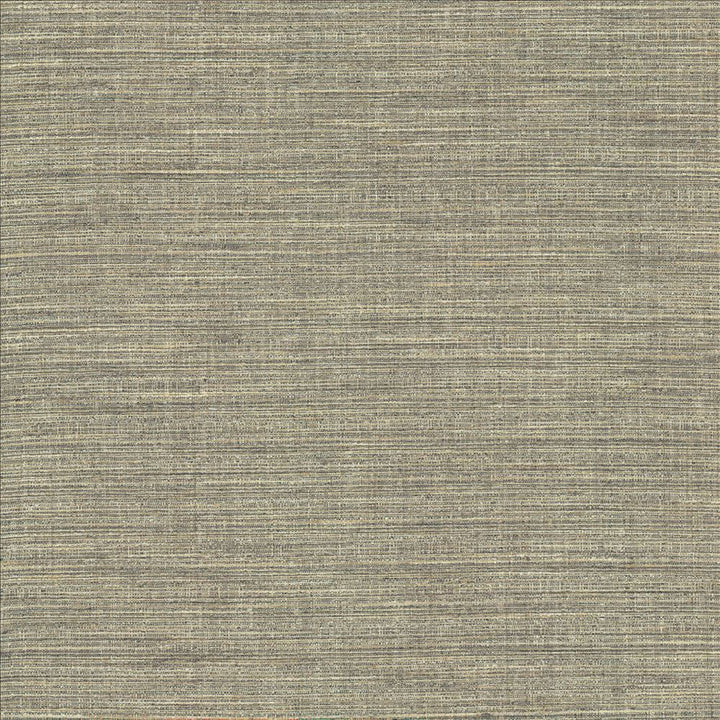 Nikita Cloud by Kasmir Designer Fabric 1461 100% Polyester
 INDIA </p><p>Repeat: Horizontal: N/A and Vertical: N/A 54 - Swanky Fabrics -