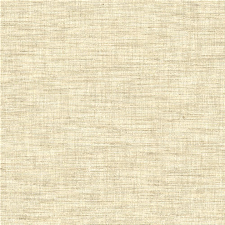 Nikita Vanilla by Kasmir Designer Fabric 1461 100% Polyester
 INDIA </p><p>Repeat: Horizontal: N/A and Vertical: N/A 54 - Swanky Fabrics -