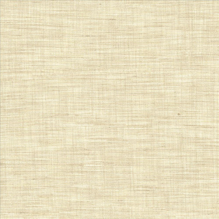 Nikita Vanilla by Kasmir Designer Fabric 1461 100% Polyester
 INDIA 30,000 Wyzenbeek Double Rubs </p><p>Repeat: Horizontal: N/A and Vertical: N/A 54 - Swanky Fabrics -