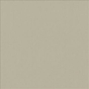 Nonchalant Mink by Kasmir Designer Fabric 5075 100% Cotton TURKEY Not Tested H: N/A, V: N/A 54 - 55 - Swanky Fabrics - Kasmir