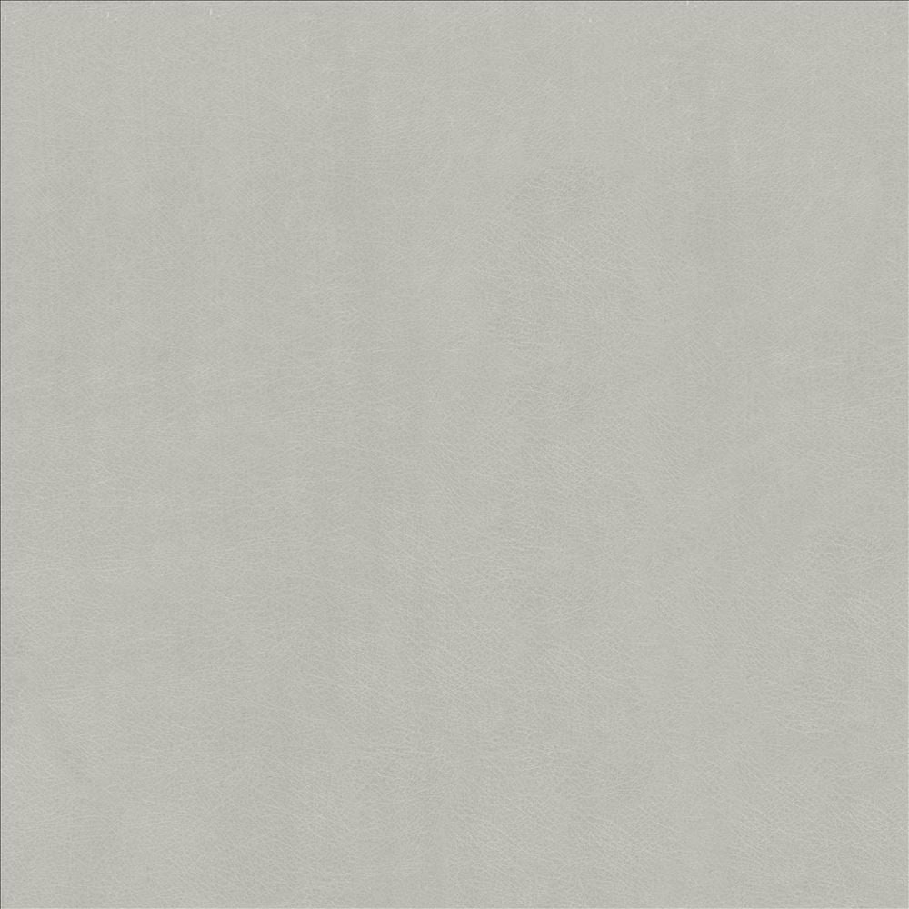 Odin Aluminum by Kasmir Designer Fabric 5127 100% Polyurethane CHINA 100,000 Wyzenbeek Double Rubs Horizontal: 0 Inches and Vertical: 0 Inches 54 - Swanky Fabrics -