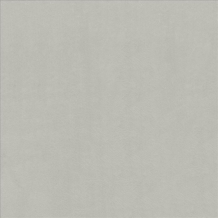 Odin Aluminum  by Kasmir Designer Fabric 5127 100% Polyurethane
 CHINA 100,000 Wyzenbeek Double Rubs Horizontal: N/A and Vertical: N/A 53  - Swanky Fabrics -