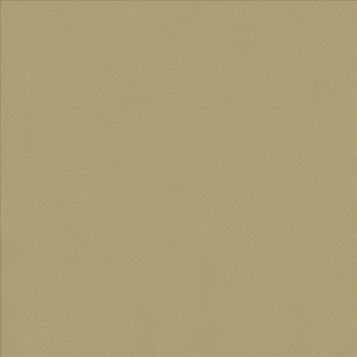 Odin Ash by Kasmir Designer Fabric 5127 100% Polyurethane
 CHINA 100,000 Wyzenbeek Double Rubs </p><p>Repeat: Horizontal: N/A and Vertical: N/A 53 - Swanky Fabrics -