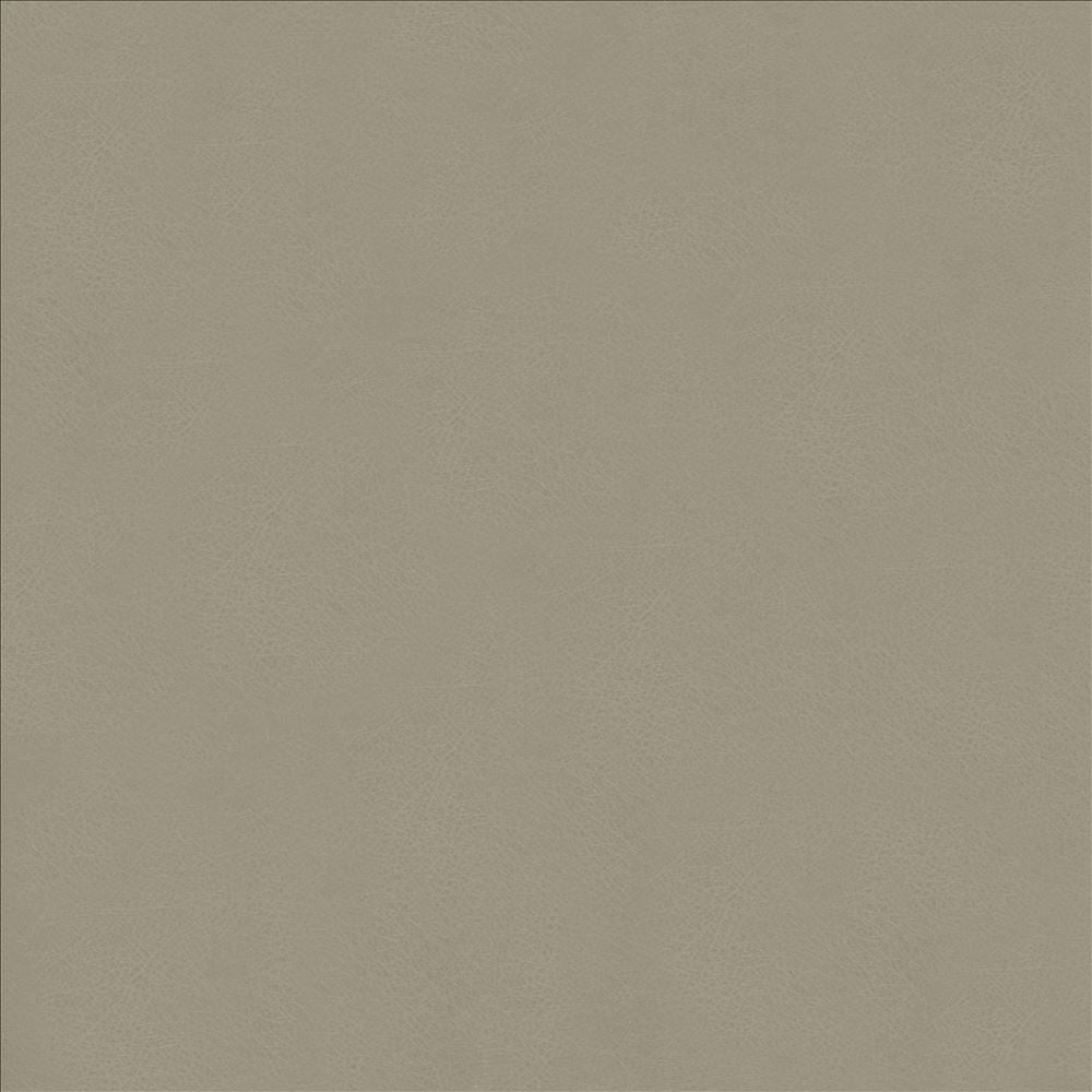 Odin Ash by Kasmir Designer Fabric 5127 100% Polyurethane CHINA 100,000 Wyzenbeek Double Rubs Horizontal: 0 Inches and Vertical: 0 Inches 54 - Swanky Fabrics -