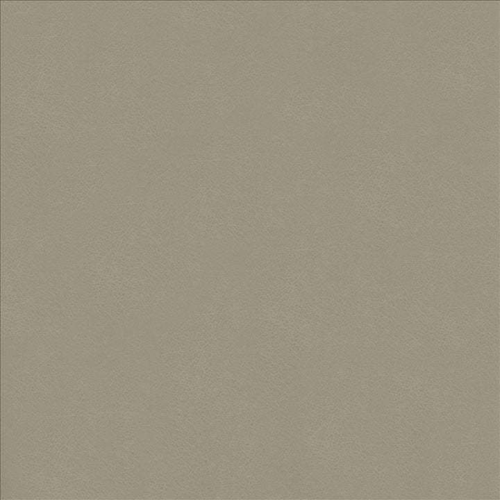 Odin Ash by Kasmir Designer Fabric 5127 100% Polyurethane CHINA 100,000 Wyzenbeek Double Rubs Horizontal: 0 Inches and Vertical: 0 Inches 54 - Swanky Fabrics -