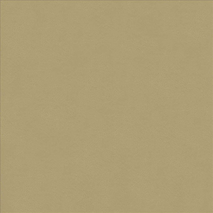Odin Ash by Kasmir Designer Fabric 5127 100% Polyurethane
 CHINA </p><p>Repeat: Horizontal: N/A and Vertical: N/A 53 - Swanky Fabrics -