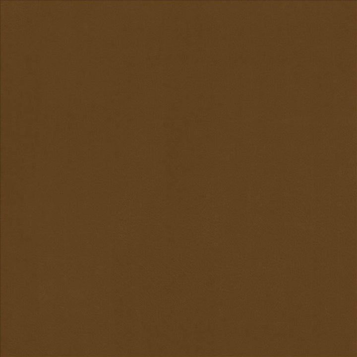 Odin Cognac by Kasmir Designer Fabric 5127 100% Polyurethane
 CHINA </p><p>Repeat: Horizontal: N/A and Vertical: N/A 53 - Swanky Fabrics -