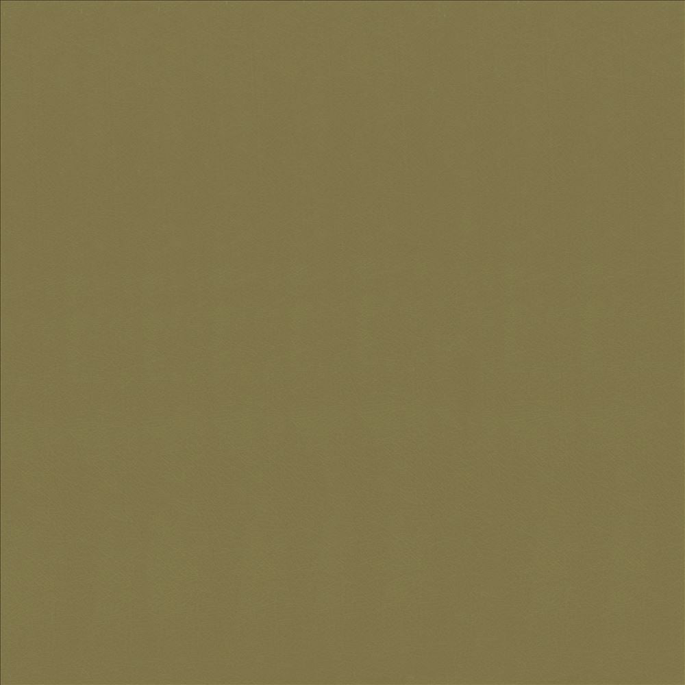 Odin Lichen by Kasmir Designer Fabric 5127 100% Polyurethane
 CHINA </p><p>Repeat: Horizontal: N/A and Vertical: N/A 53 - Swanky Fabrics -
