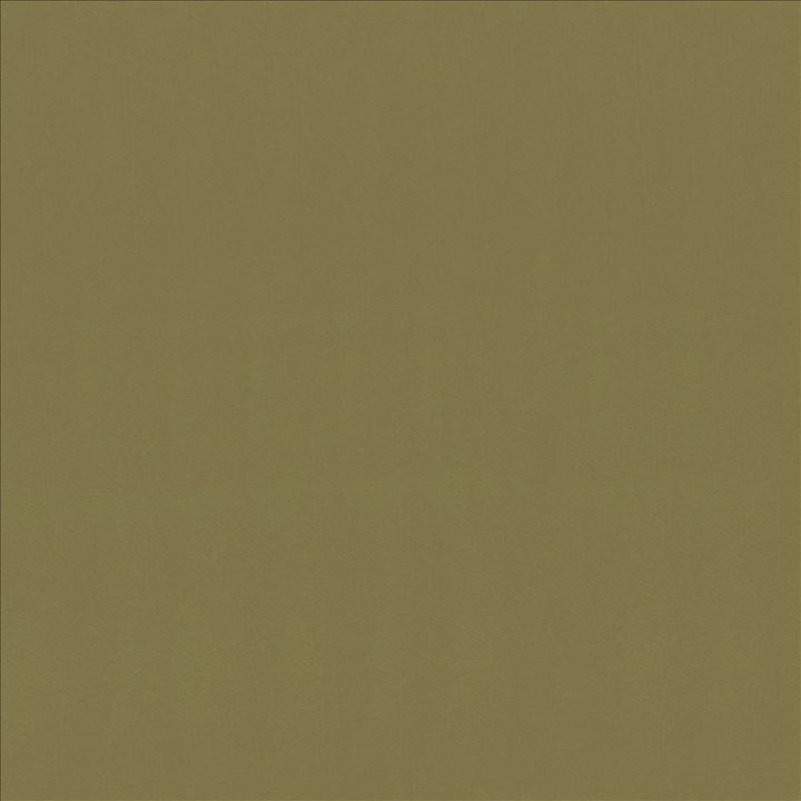Odin Lichen by Kasmir Designer Fabric 5127 100% Polyurethane
 CHINA </p><p>Repeat: Horizontal: N/A and Vertical: N/A 53 - Swanky Fabrics -