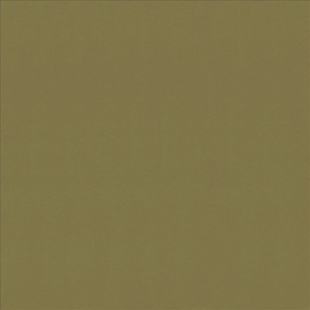 Odin Lichen by Kasmir Designer Fabric 5127 100% Polyurethane
 CHINA 100,000 Wyzenbeek Double Rubs </p><p>Repeat: Horizontal: N/A and Vertical: N/A 53 - Swanky Fabrics -