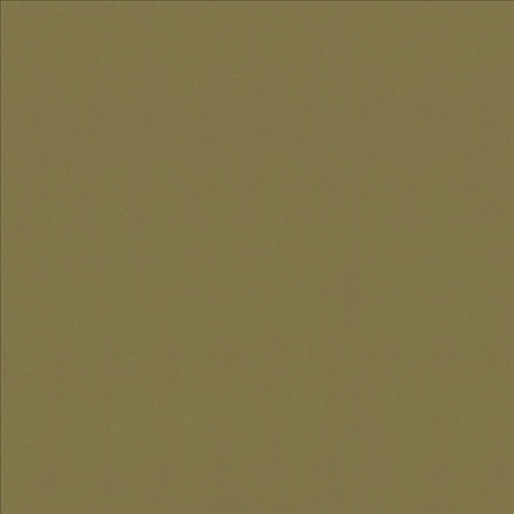 Odin Lichen by Kasmir Designer Fabric 5127 100% Polyurethane
 CHINA 100,000 Wyzenbeek Double Rubs </p><p>Repeat: Horizontal: N/A and Vertical: N/A 53 - Swanky Fabrics -