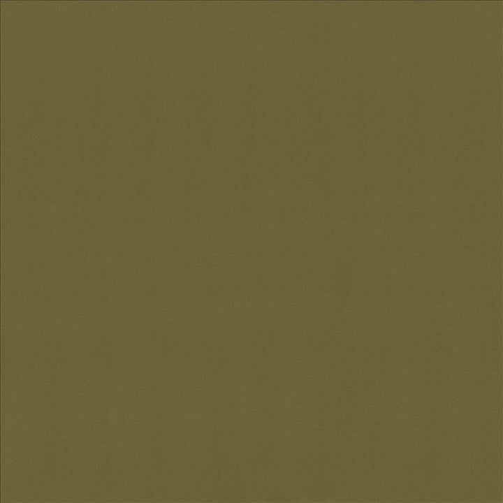 Odin Lichen by Kasmir Designer Fabric See sample 100% Polyurethane
 CHINA 100,000 Wyzenbeek Double Rubs </p><p>Repeat: Horizontal: N/A and Vertical: N/A 53 - Swanky Fabrics -