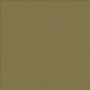 Kasmir Fabric Odin Lichen