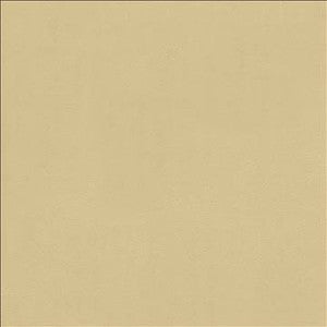 Kasmir Fabric Odin Linen