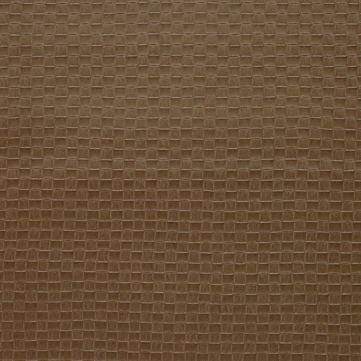 OLIA.1616 by Kravet Design Designer Fabric our website for purchase 100% Leather Korea, Republic of Heavy Horizontal: 1 inch and Vertical: 1 inch 54 inches - Swanky Fabrics -