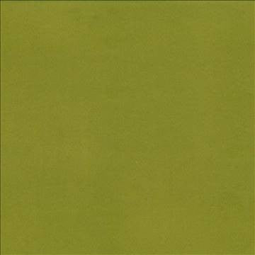 Opus Thyme by Kasmir Designer Fabric 5058 100% Polyester CHINA 100,000 Wyzenbeek Double Rubs H: N/A, V: N/A 55 - 57 - Swanky Fabrics - Kasmir