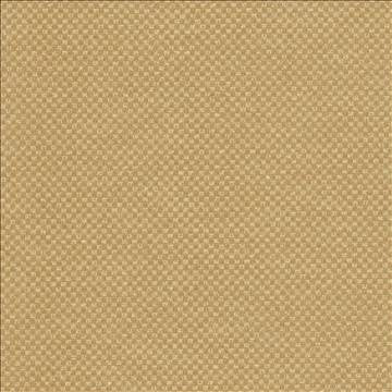 Paquin Harvest by Kasmir Designer Fabric 5093 55% Cotton 45% Polyester TAIWAN 30,000 Wyzenbeek Double Rubs H: 4/8 inches, V: 4/8 inches 54 - 55 - Swanky Fabrics - Kasmir