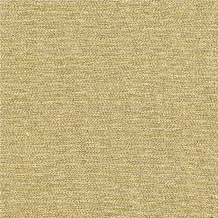 Patter Oatmeal by Kasmir Designer Fabric 5120 79% Recycled Cotton
21% Polyester
 USA </p><p>Repeat: Horizontal: 2/8 inches and Vertical: 6/8 inches 54 - Swanky Fabrics -