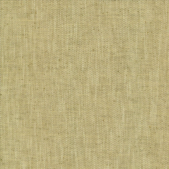 Pediment Sisal  by Kasmir Designer Fabric 5120 65% Polyester
35% Cotton
 INDIA 30,000 Wyzenbeek Double Rubs Horizontal: 2/8 inches and Vertical: 2/8 inches 55  - Swanky Fabrics -