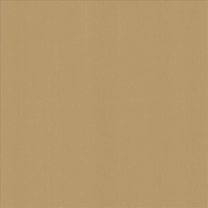 Perception Antique by Kasmir Designer Fabric 5174 100% Cotton
 INDIA 21,000 Wyzenbeek Double Rubs </p><p>Repeat: Horizontal: N/A and Vertical: N/A 54 - Swanky Fabrics -
