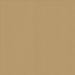 Kasmir Fabric Perception Antique