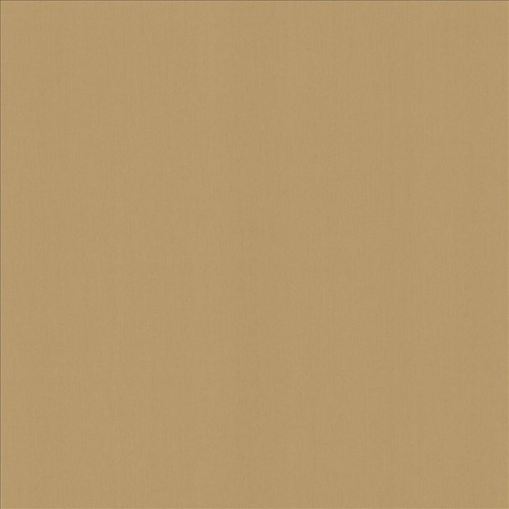Perception Antique by Kasmir Designer Fabric See sample 100% Cotton
 INDIA 21,000 Wyzenbeek Double Rubs </p><p>Repeat: Horizontal: N/A and Vertical: N/A 54 - Swanky Fabrics -
