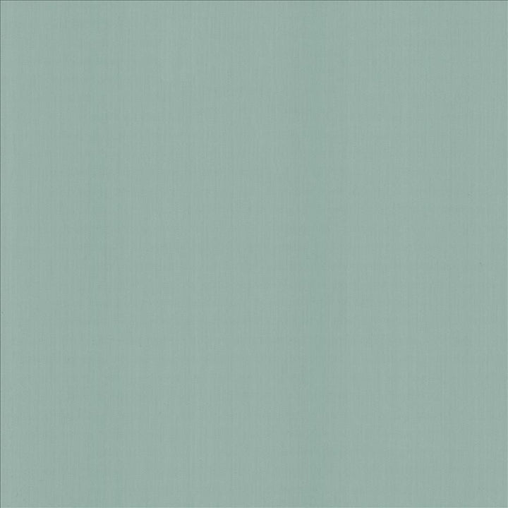 Perception Baltic by Kasmir Designer Fabric 5174 100% Cotton
 INDIA 21,000 Wyzenbeek Double Rubs </p><p>Repeat: Horizontal: N/A and Vertical: N/A 54 - Swanky Fabrics -