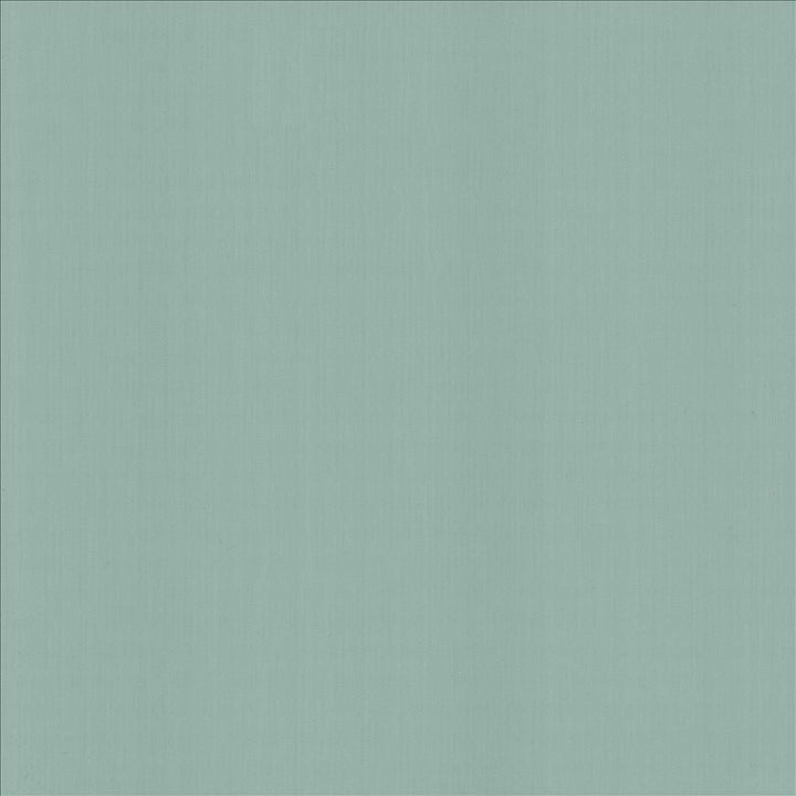 Perception Baltic by Kasmir Designer Fabric See sample 100% Cotton
 INDIA 21,000 Wyzenbeek Double Rubs </p><p>Repeat: Horizontal: N/A and Vertical: N/A 54 - Swanky Fabrics -