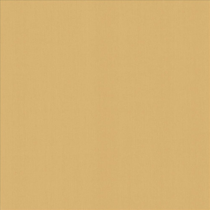 Perception Cashew by Kasmir Designer Fabric 5174 100% Cotton
 INDIA </p><p>Repeat: Horizontal: N/A and Vertical: N/A 54 - Swanky Fabrics -