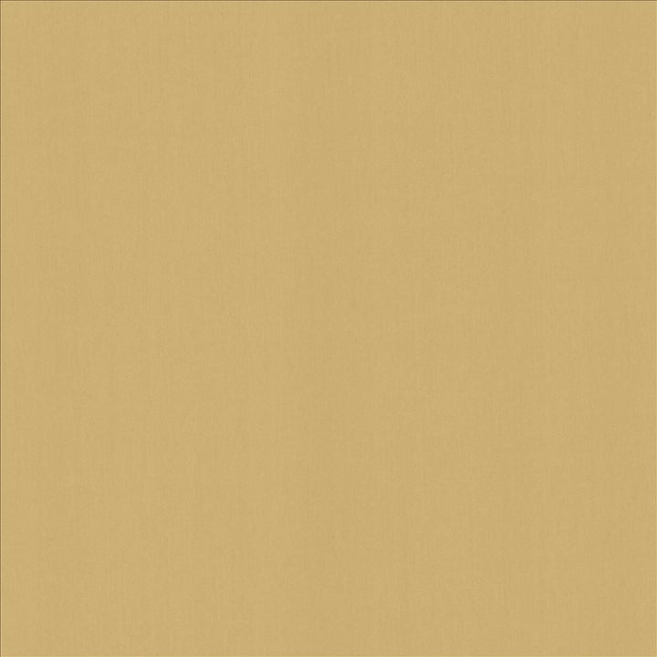 Perception Cashew by Kasmir Designer Fabric 5174 100% Cotton
 INDIA 21,000 Wyzenbeek Double Rubs </p><p>Repeat: Horizontal: N/A and Vertical: N/A 54 - Swanky Fabrics -
