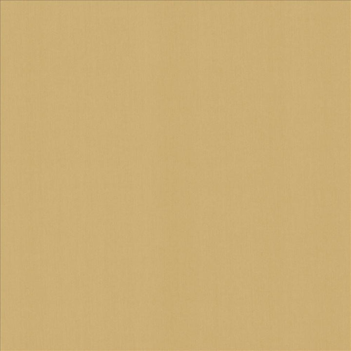 Perception Cashew by Kasmir Designer Fabric See sample 100% Cotton
 INDIA 21,000 Wyzenbeek Double Rubs </p><p>Repeat: Horizontal: N/A and Vertical: N/A 54 - Swanky Fabrics -
