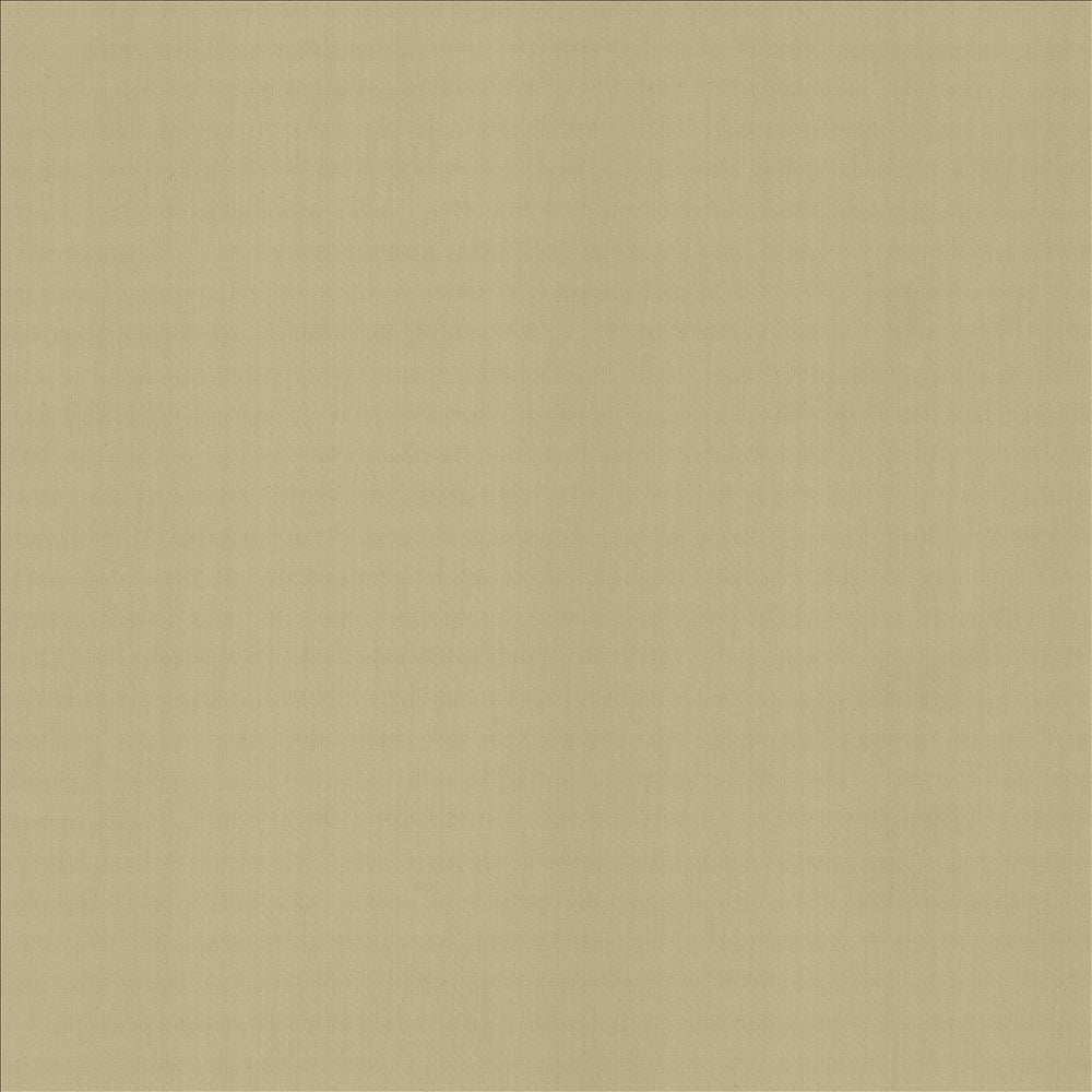 Perception Cement by Kasmir Designer Fabric 5174 100% Cotton
 INDIA 21,000 Wyzenbeek Double Rubs </p><p>Repeat: Horizontal: N/A and Vertical: N/A 54 - Swanky Fabrics -