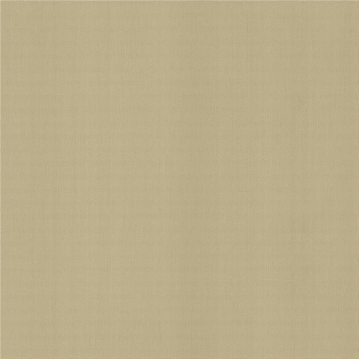 Perception Cement by Kasmir Designer Fabric 5174 100% Cotton
 INDIA 21,000 Wyzenbeek Double Rubs </p><p>Repeat: Horizontal: N/A and Vertical: N/A 54 - Swanky Fabrics -