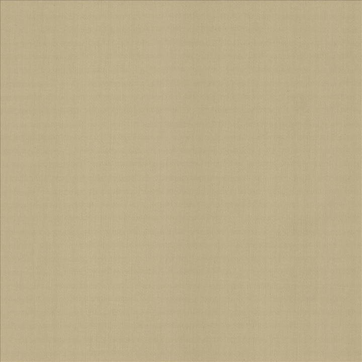 Perception Cement by Kasmir Designer Fabric 5174 100% Cotton
 INDIA </p><p>Repeat: Horizontal: N/A and Vertical: N/A 54 - Swanky Fabrics -