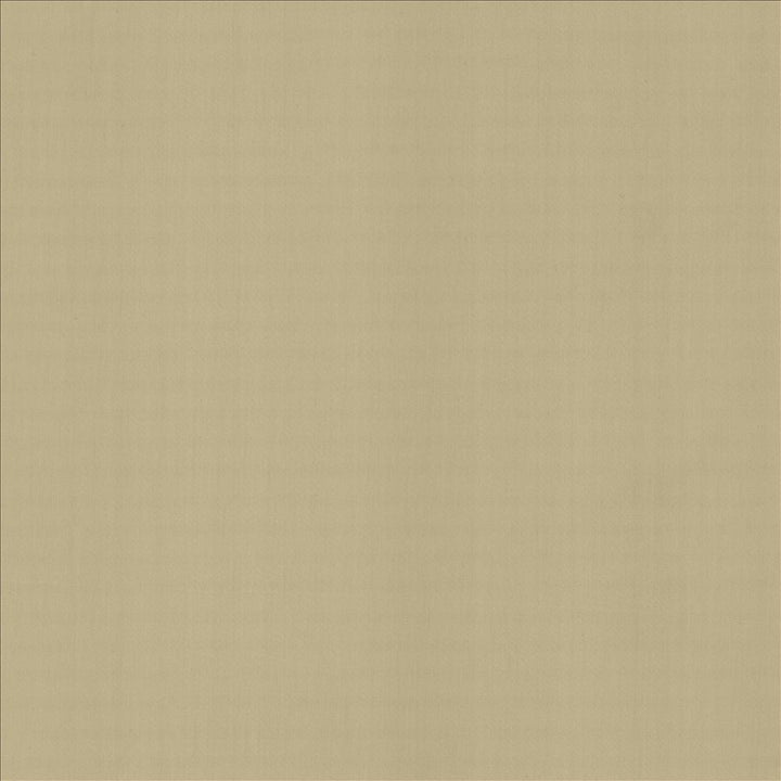 Perception Cement  by Kasmir Designer Fabric 5174 100% Cotton
 INDIA 21,000 Wyzenbeek Double Rubs Horizontal: N/A and Vertical: N/A 54  - Swanky Fabrics -