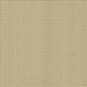 Kasmir Fabric Perception Cement