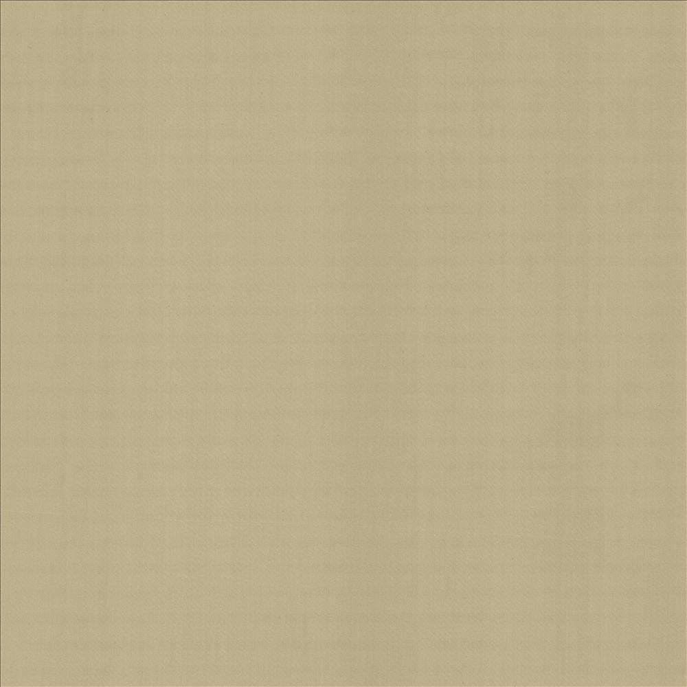 Perception Cement by Kasmir Designer Fabric See sample 100% Cotton
 INDIA 21,000 Wyzenbeek Double Rubs </p><p>Repeat: Horizontal: N/A and Vertical: N/A 54 - Swanky Fabrics -
