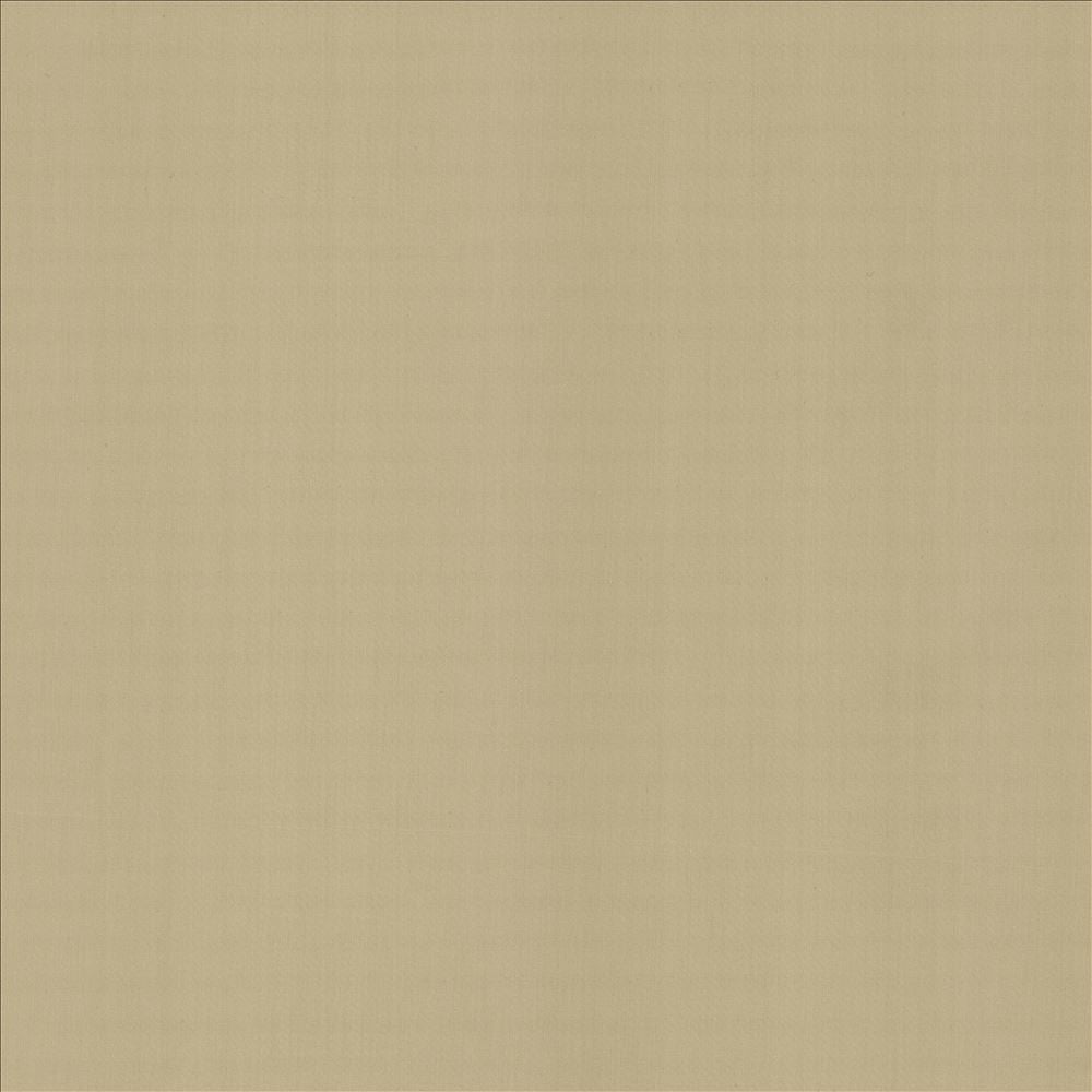 Perception Cement by Kasmir Designer Fabric 5174 100% Cotton
 INDIA </p><p>Repeat: Horizontal: N/A and Vertical: N/A 54 - Swanky Fabrics -
